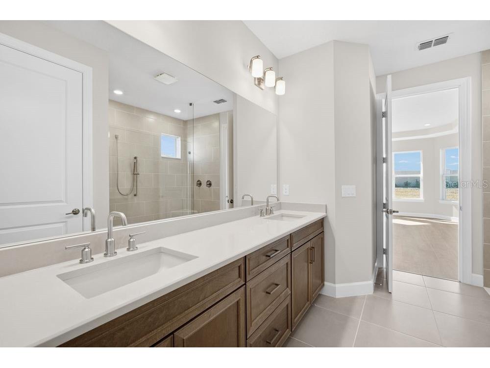 29632 Imperati Boulevard Wesley Chapel FL 33543 TB8462087 image12