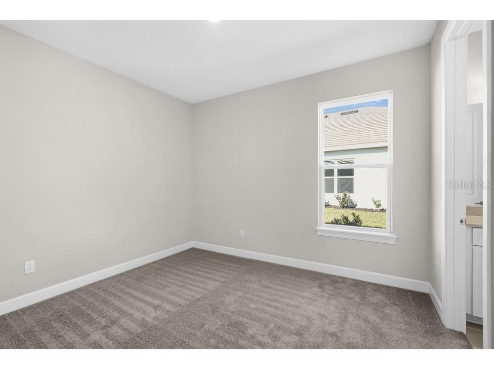 29632 Imperati Boulevard Wesley Chapel FL 33543 TB8462087 image15