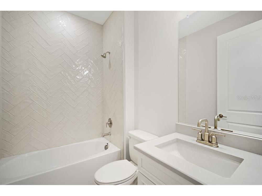 29632 Imperati Boulevard Wesley Chapel FL 33543 TB8462087 image18