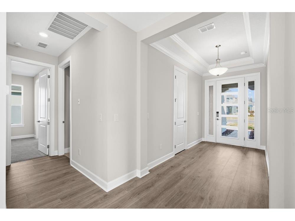 29632 Imperati Boulevard Wesley Chapel FL 33543 TB8462087 image20