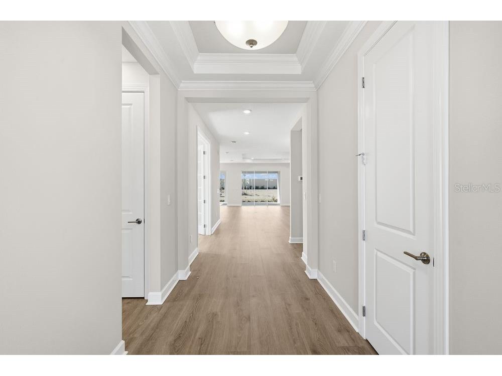 29632 Imperati Boulevard Wesley Chapel FL 33543 TB8462087 image21