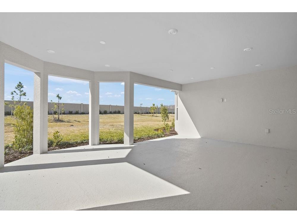 29632 Imperati Boulevard Wesley Chapel FL 33543 TB8462087 image25