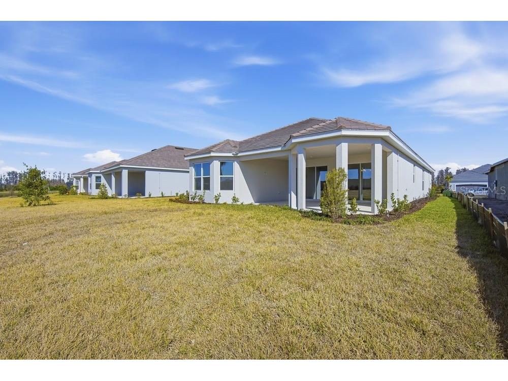 29632 Imperati Boulevard Wesley Chapel FL 33543 TB8462087 image27