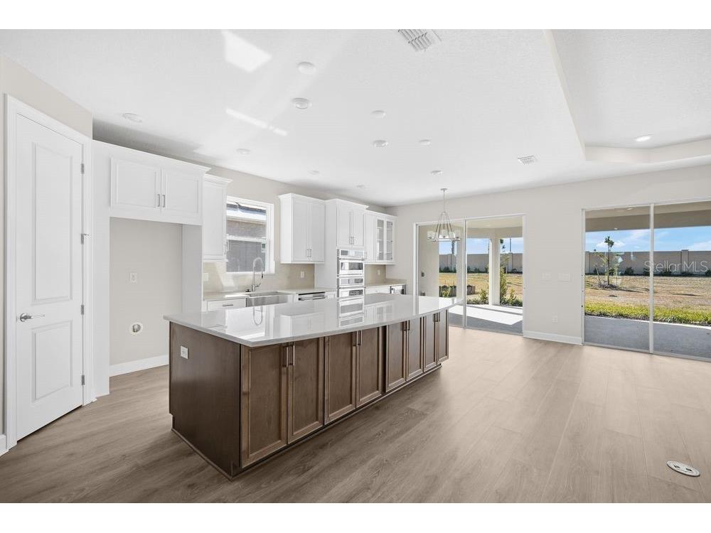 29632 Imperati Boulevard Wesley Chapel FL 33543 TB8462087 image3