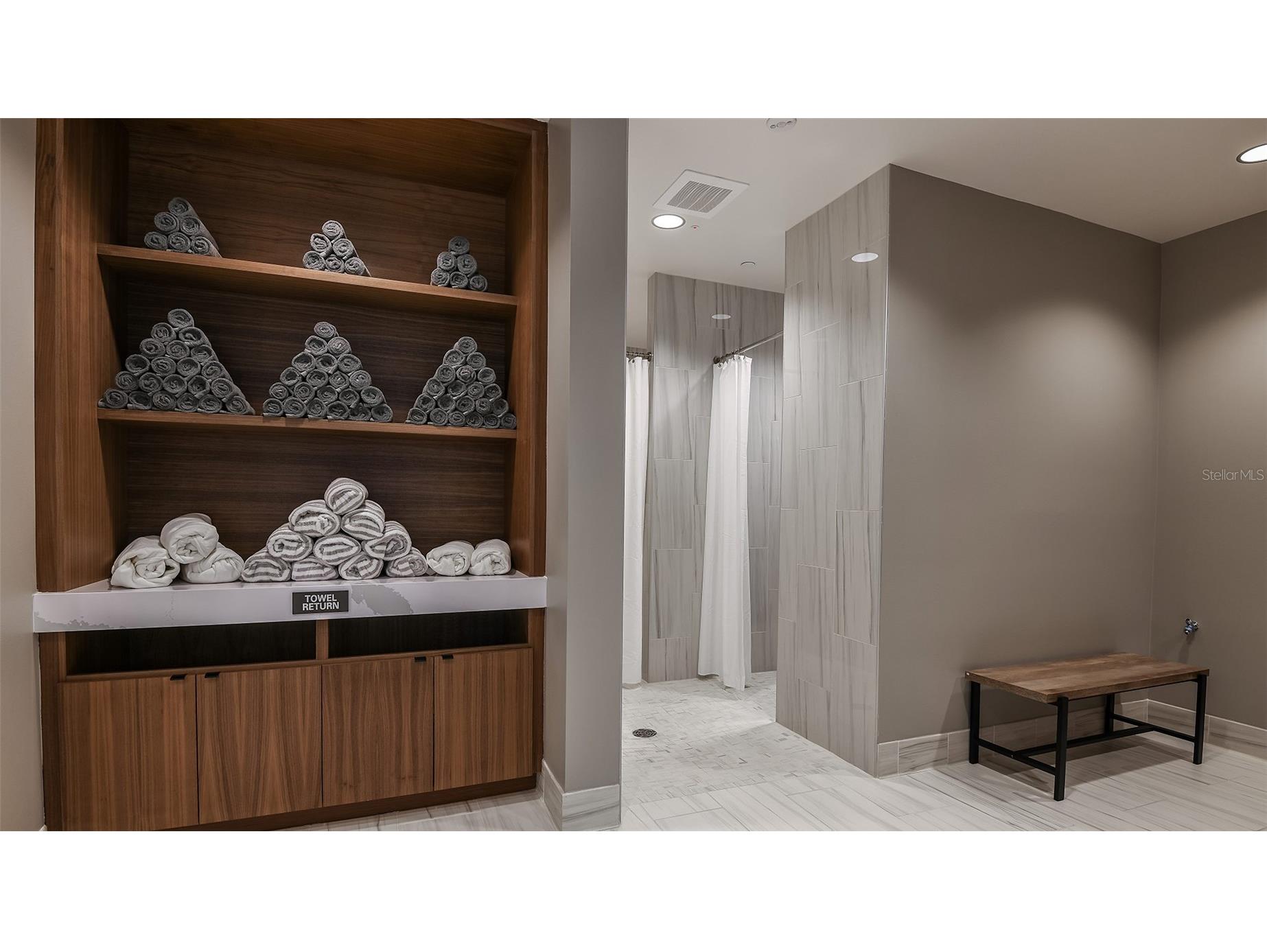 29632 Imperati Boulevard Wesley Chapel FL 33543 TB8462087 image37