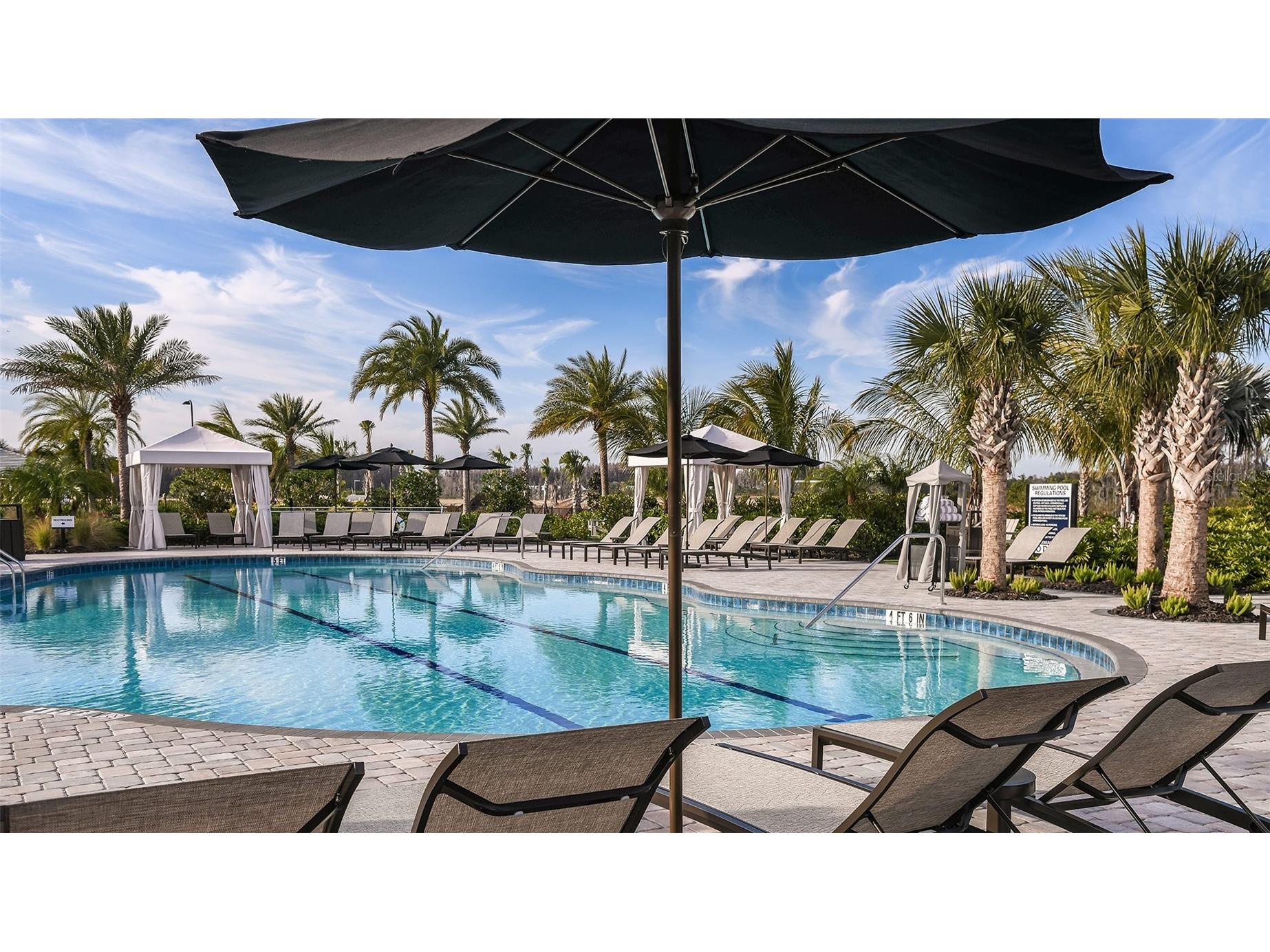 29632 Imperati Boulevard Wesley Chapel FL 33543 TB8462087 image45