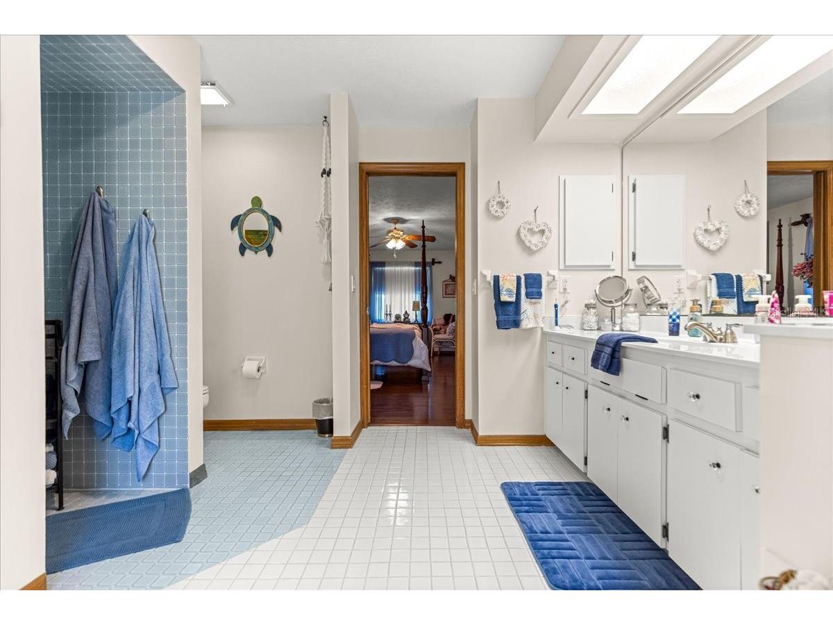 2964 S Cygnet Terrace Inverness FL 34450 OM725446 image27