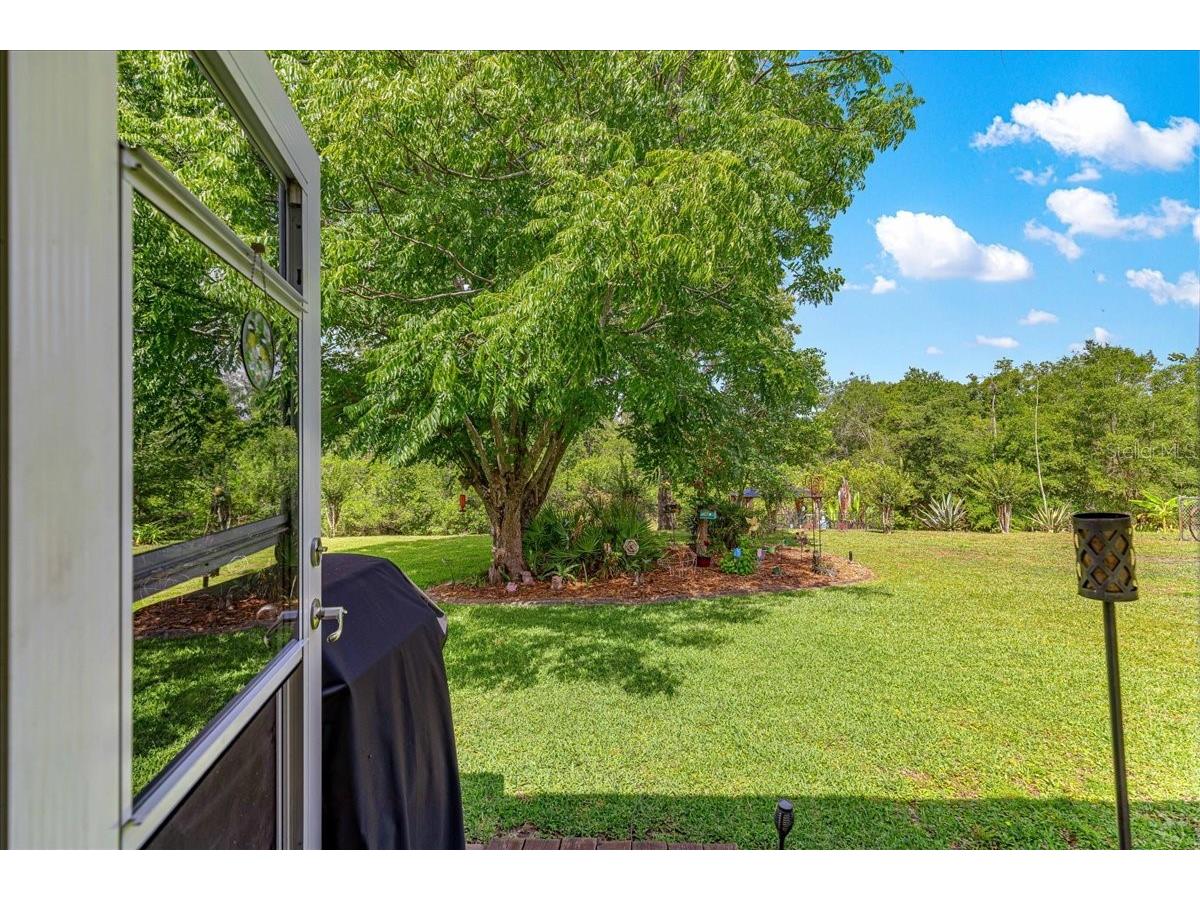 2964 S Cygnet Terrace Inverness FL 34450 OM725446 image40