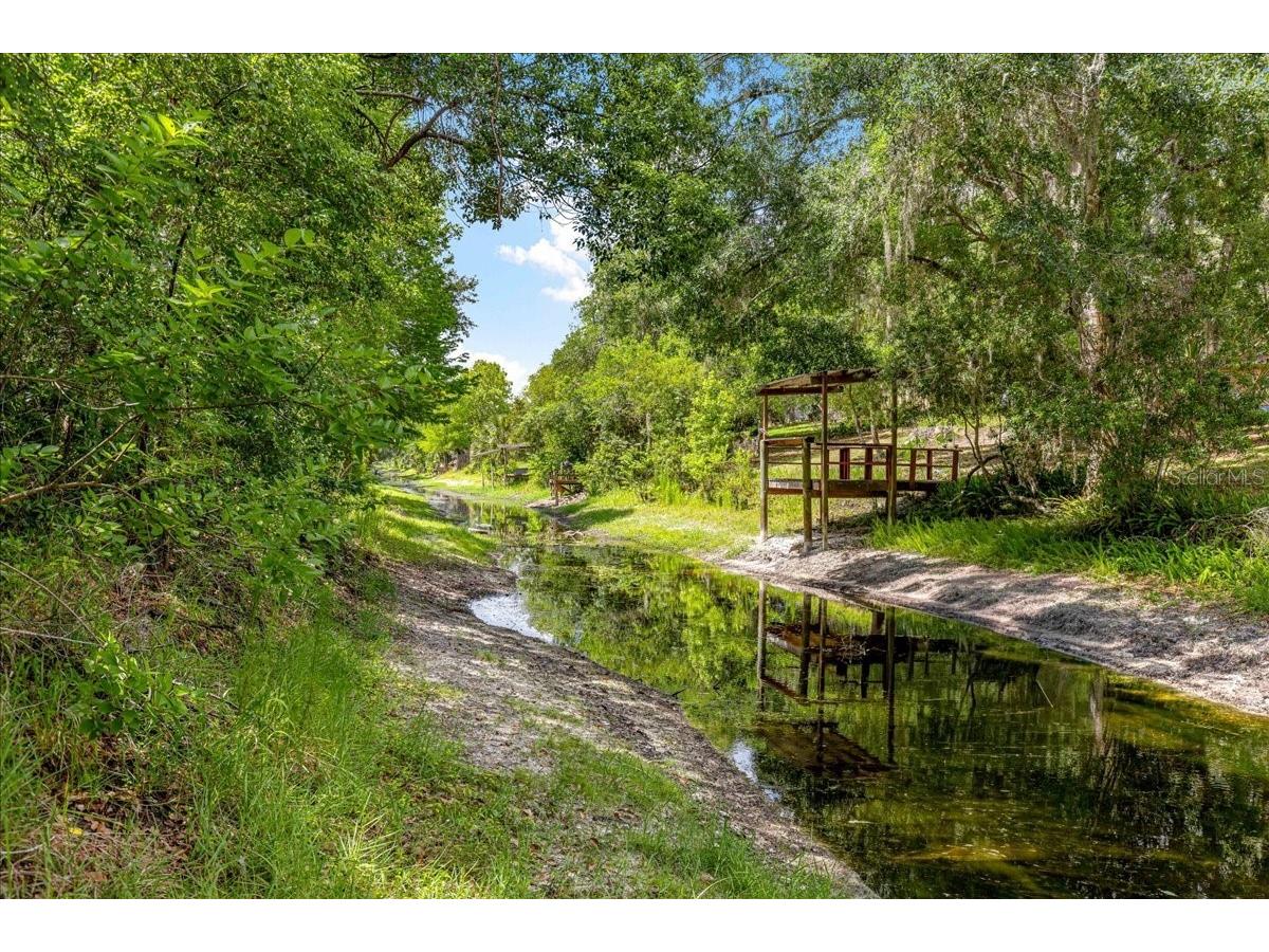 2964 S Cygnet Terrace Inverness FL 34450 OM725446 image48