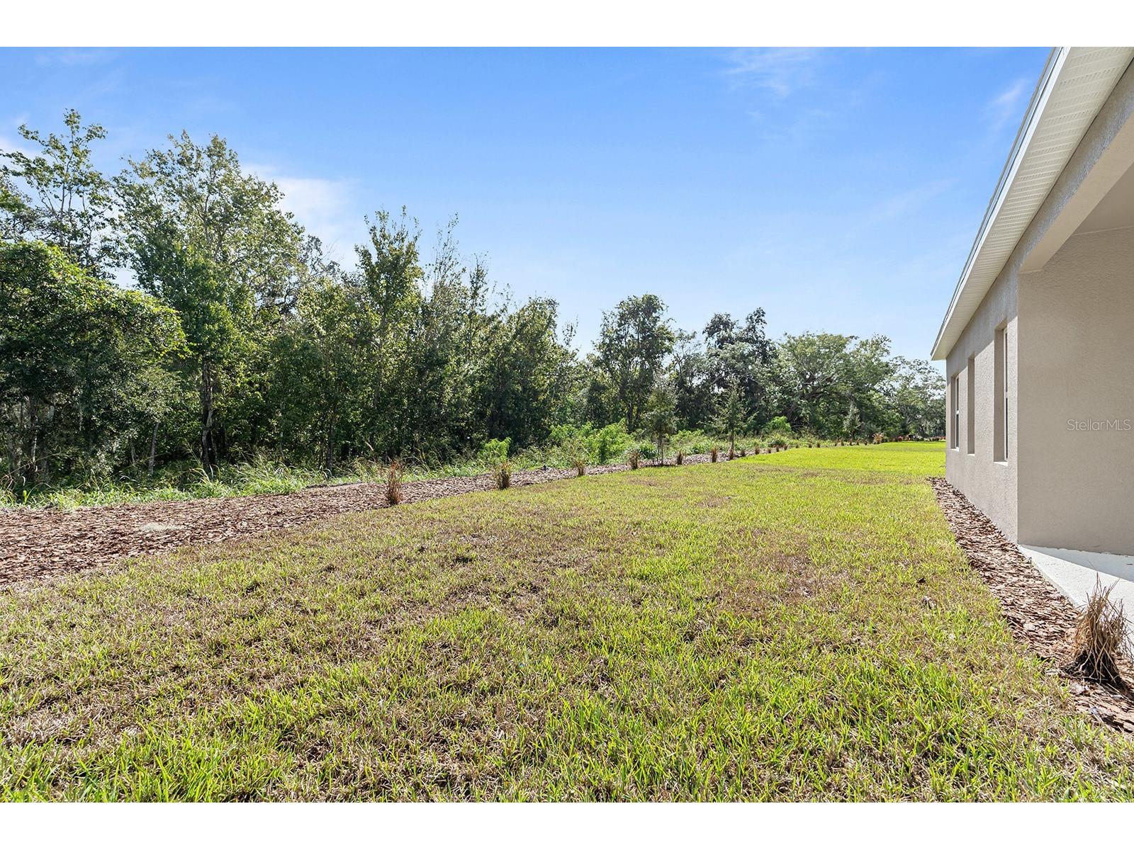 2964 Slough Creek Drive Kissimmee FL 34744 O6392630 image31