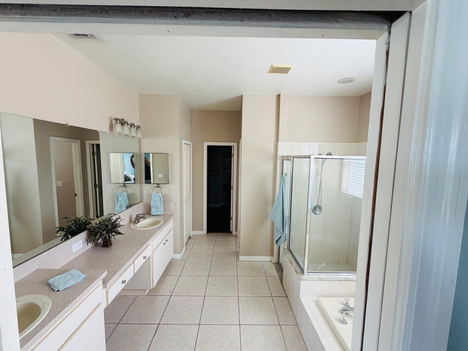 29641 Eagle Station Drive Wesley Chapel FL 33543 TB8511987 image21