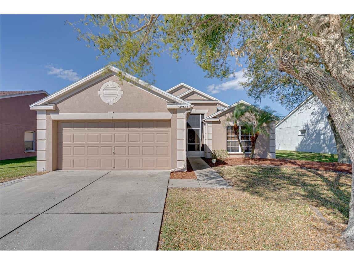 29643 Morningmist Drive Wesley Chapel FL 33543 U8191416 image1