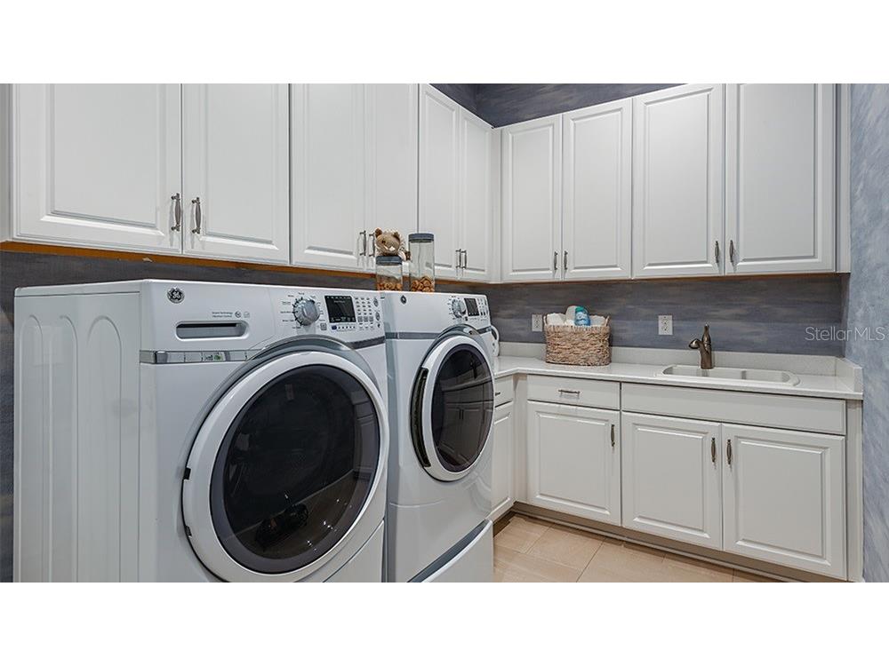 29644 Imperati Boulevard Wesley Chapel FL 33543 TB8462137 image16