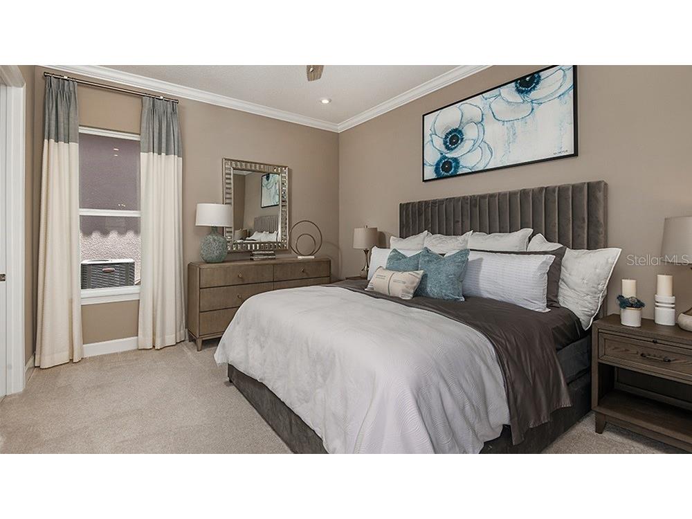 29644 Imperati Boulevard Wesley Chapel FL 33543 TB8462137 image18