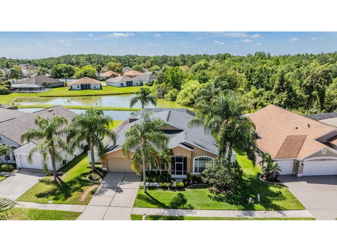 29646 Forest Glen Drive Wesley Chapel FL 33543 T3512991 image1