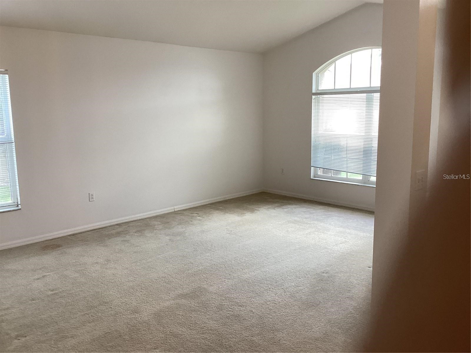 29647 Fog Hollow Drive Wesley Chapel FL 33543 TB8499954 image13