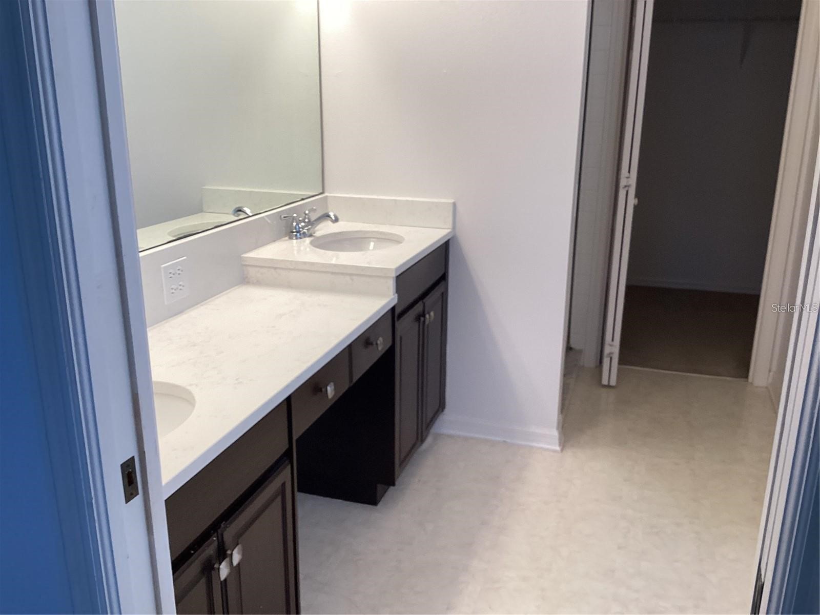 29647 Fog Hollow Drive Wesley Chapel FL 33543 TB8499954 image16