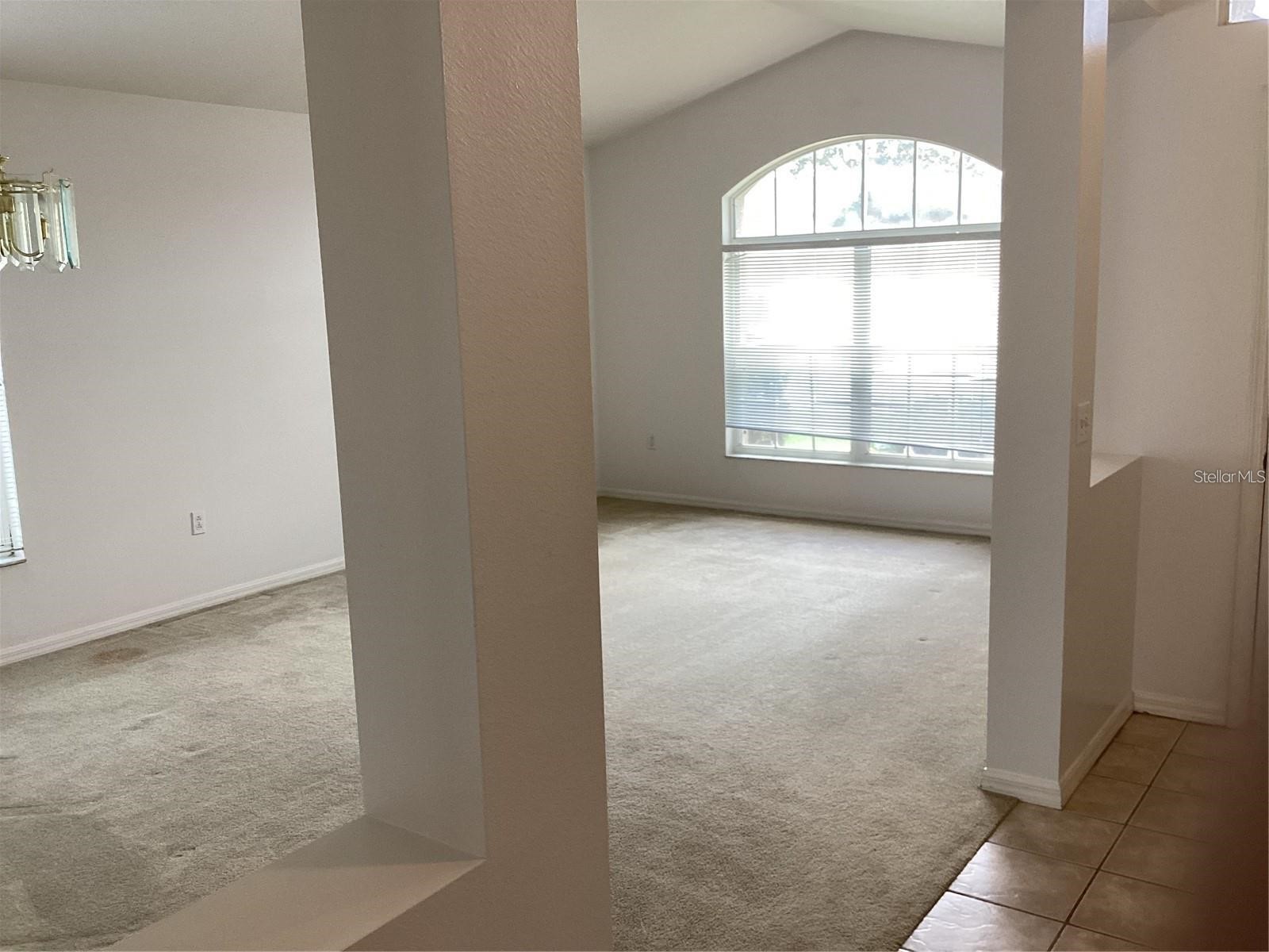 29647 Fog Hollow Drive Wesley Chapel FL 33543 TB8499954 image17