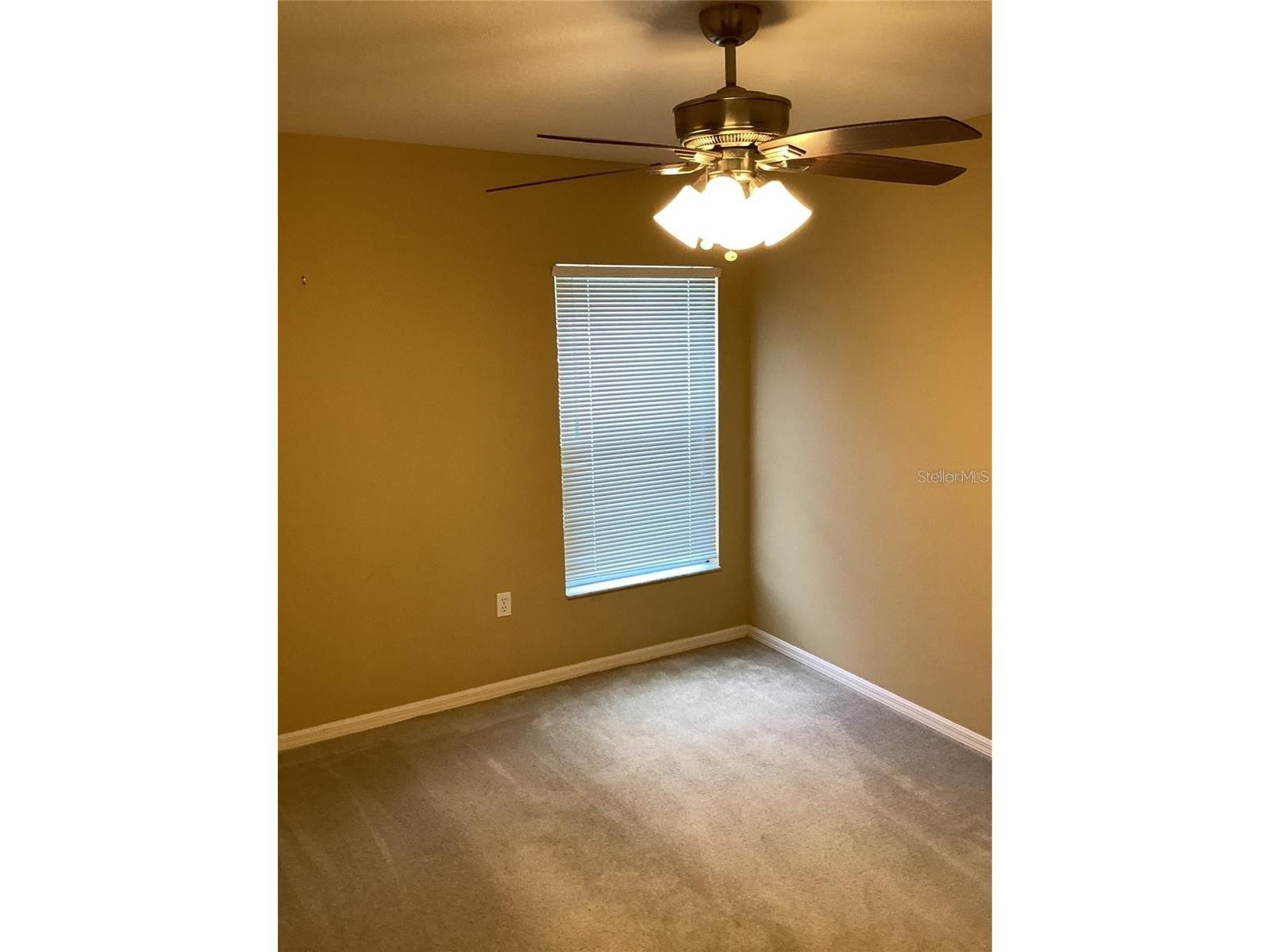 29647 Fog Hollow Drive Wesley Chapel FL 33543 TB8499954 image19