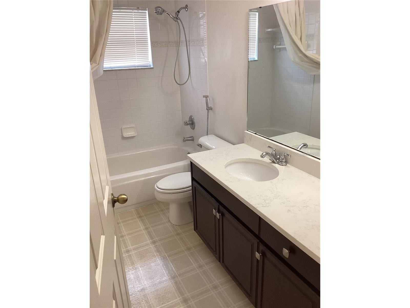 29647 Fog Hollow Drive Wesley Chapel FL 33543 TB8499954 image20