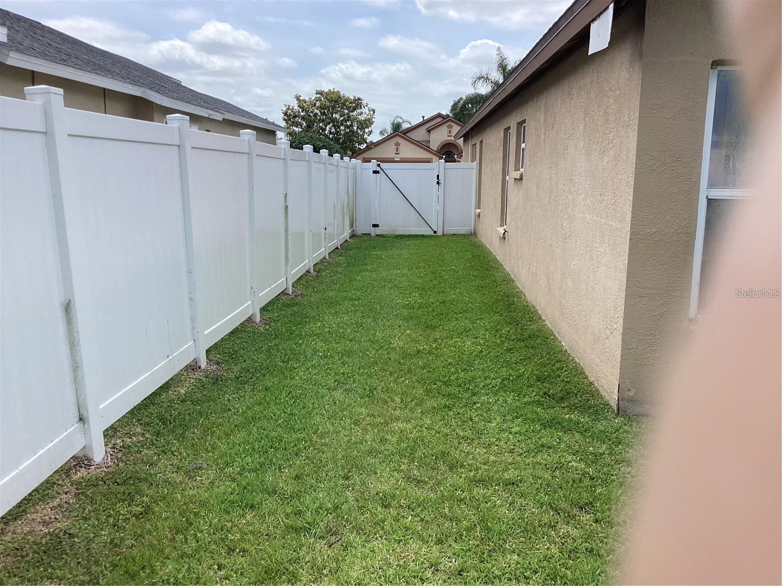 29647 Fog Hollow Drive Wesley Chapel FL 33543 TB8499954 image24