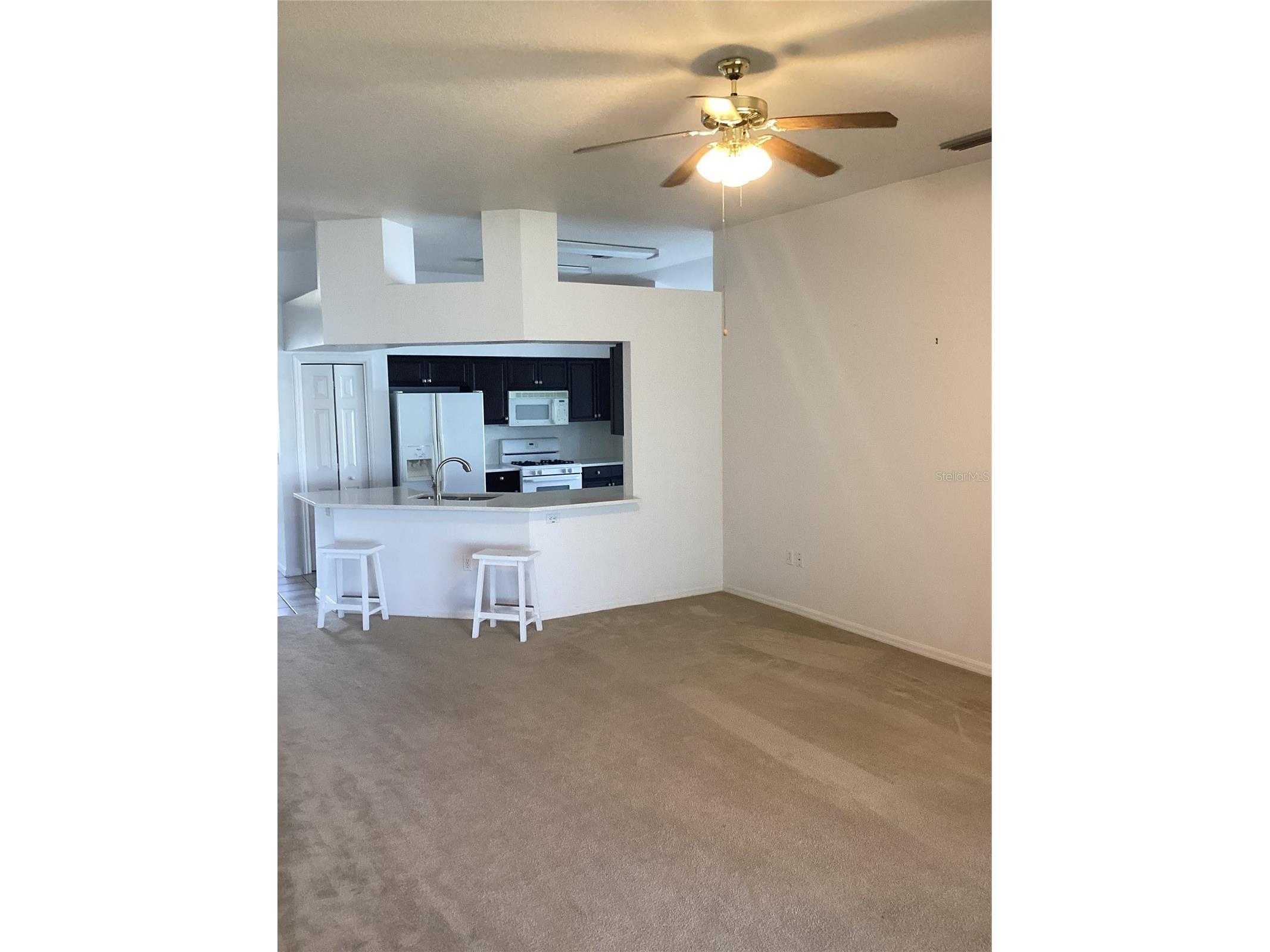 29647 Fog Hollow Drive Wesley Chapel FL 33543 TB8499954 image6