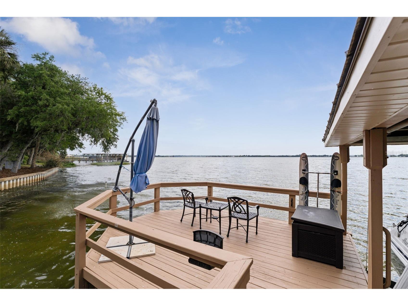 29650 Squirrel Point Road Tavares FL 32778 - LAKE DORA G5111459 image65