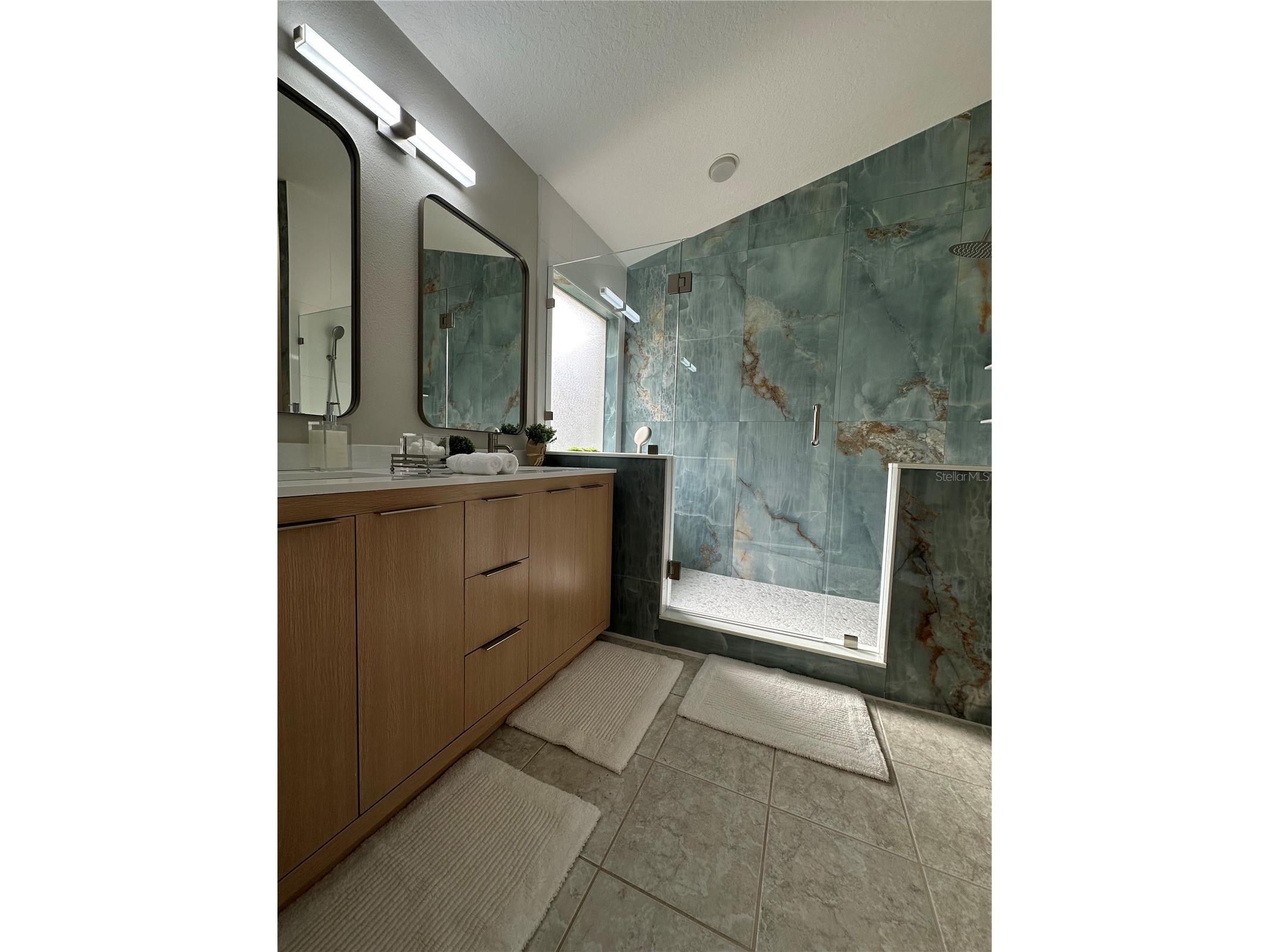 29651 Birds Eye Drive Wesley Chapel FL 33543 TB8494083 image10