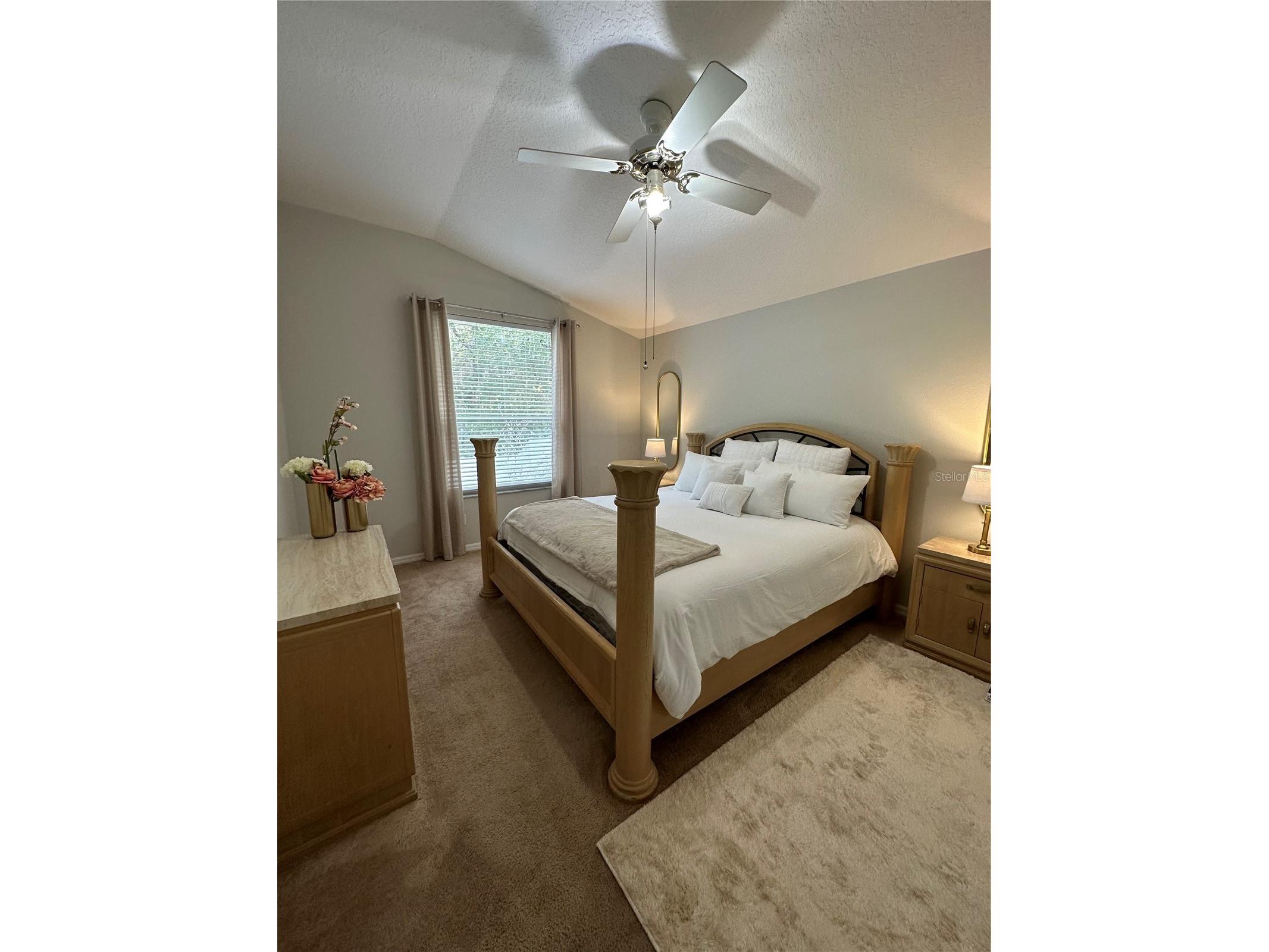 29651 Birds Eye Drive Wesley Chapel FL 33543 TB8494083 image11