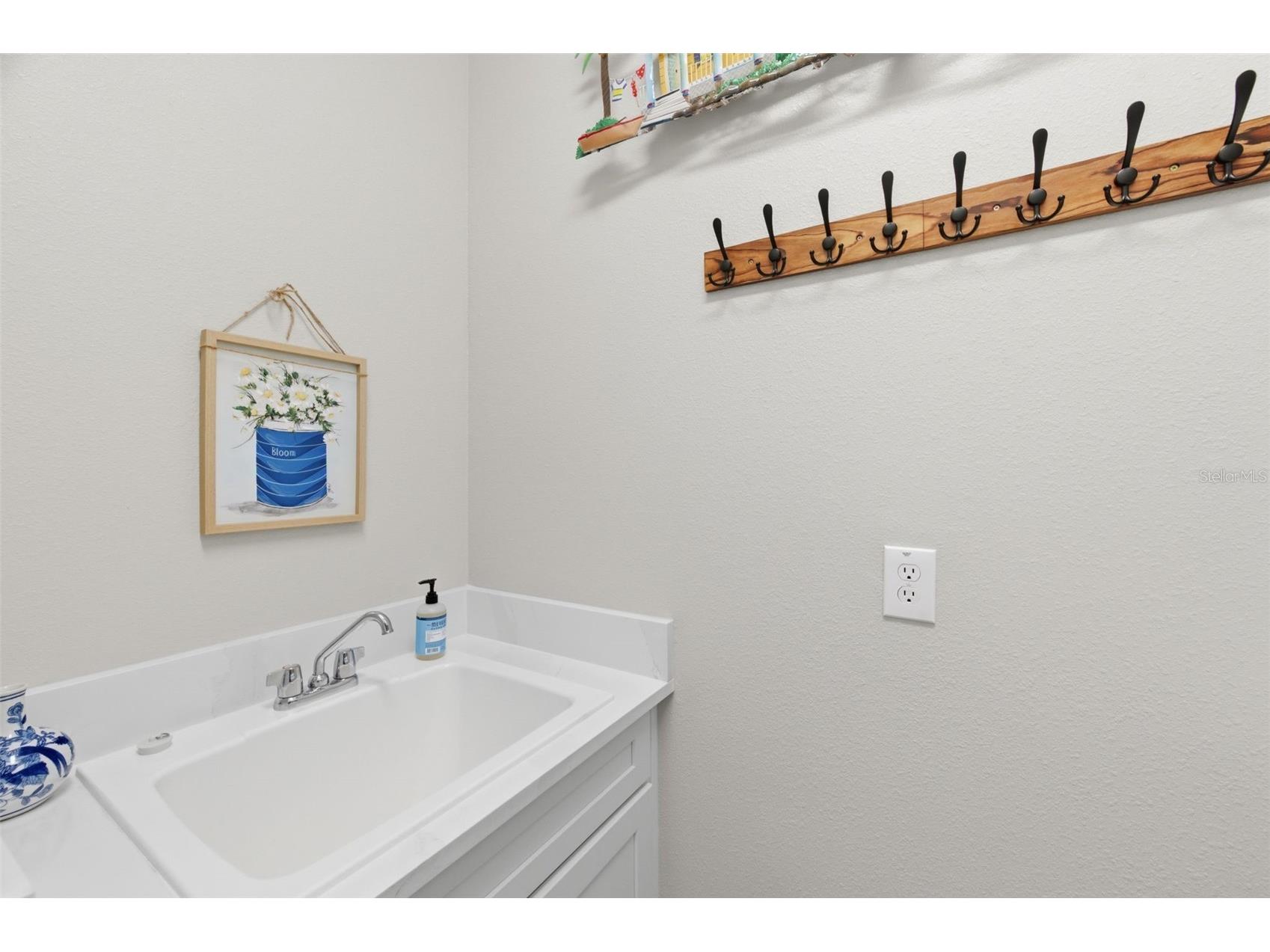 29657 Picana Lane Wesley Chapel FL 33543 TB8492559 image42