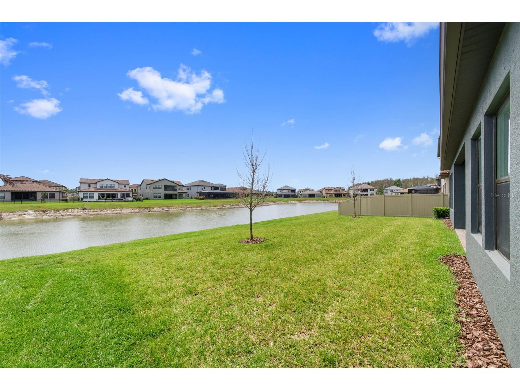 29657 Picana Lane Wesley Chapel FL 33543 TB8492559 image53