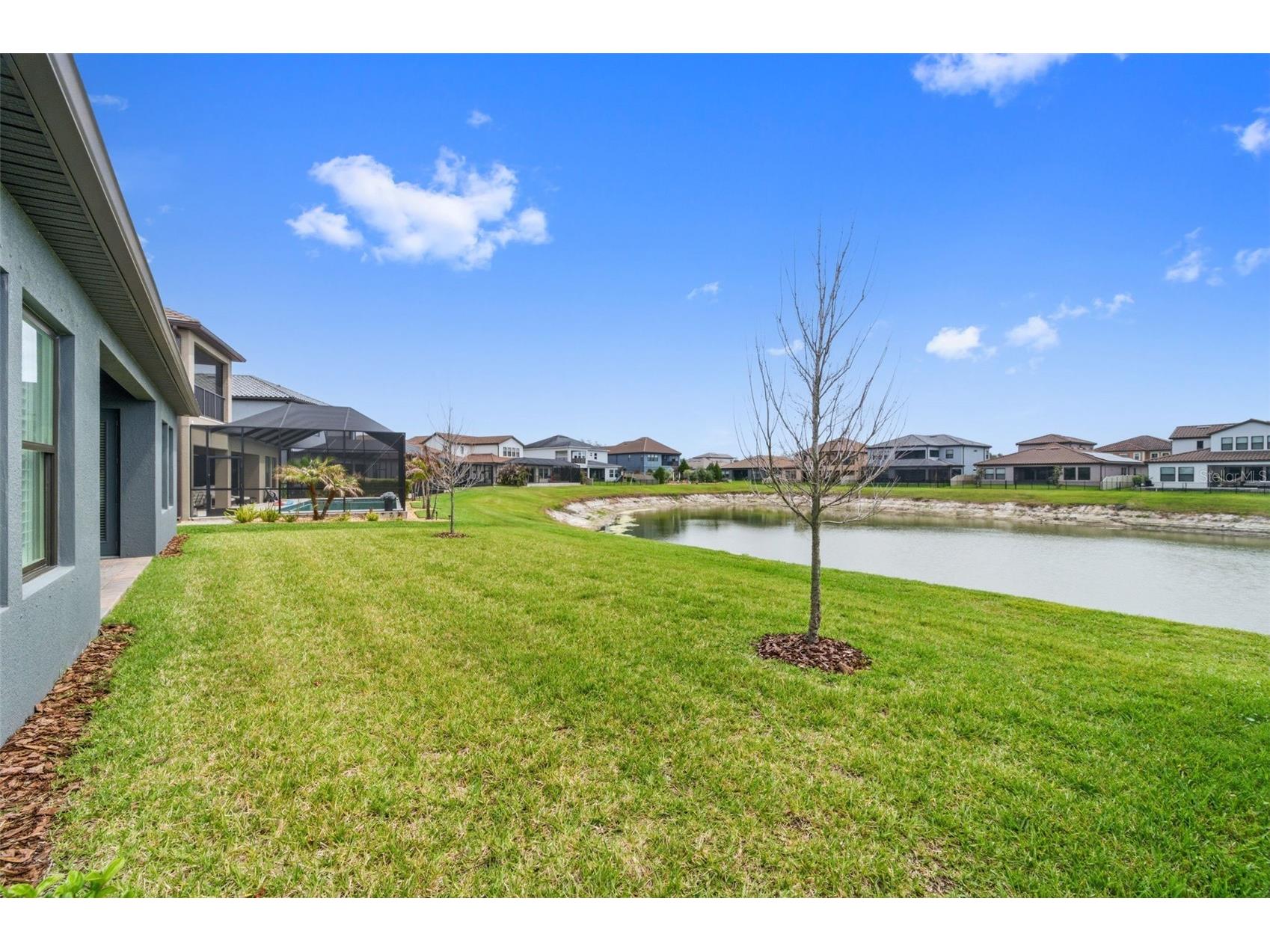 29657 Picana Lane Wesley Chapel FL 33543 TB8492559 image56