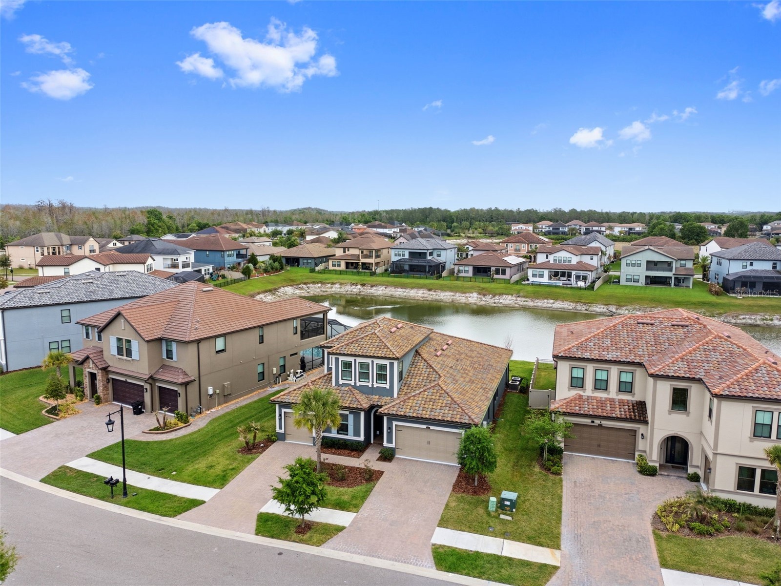 29657 Picana Lane Wesley Chapel FL 33543 TB8492559 image59