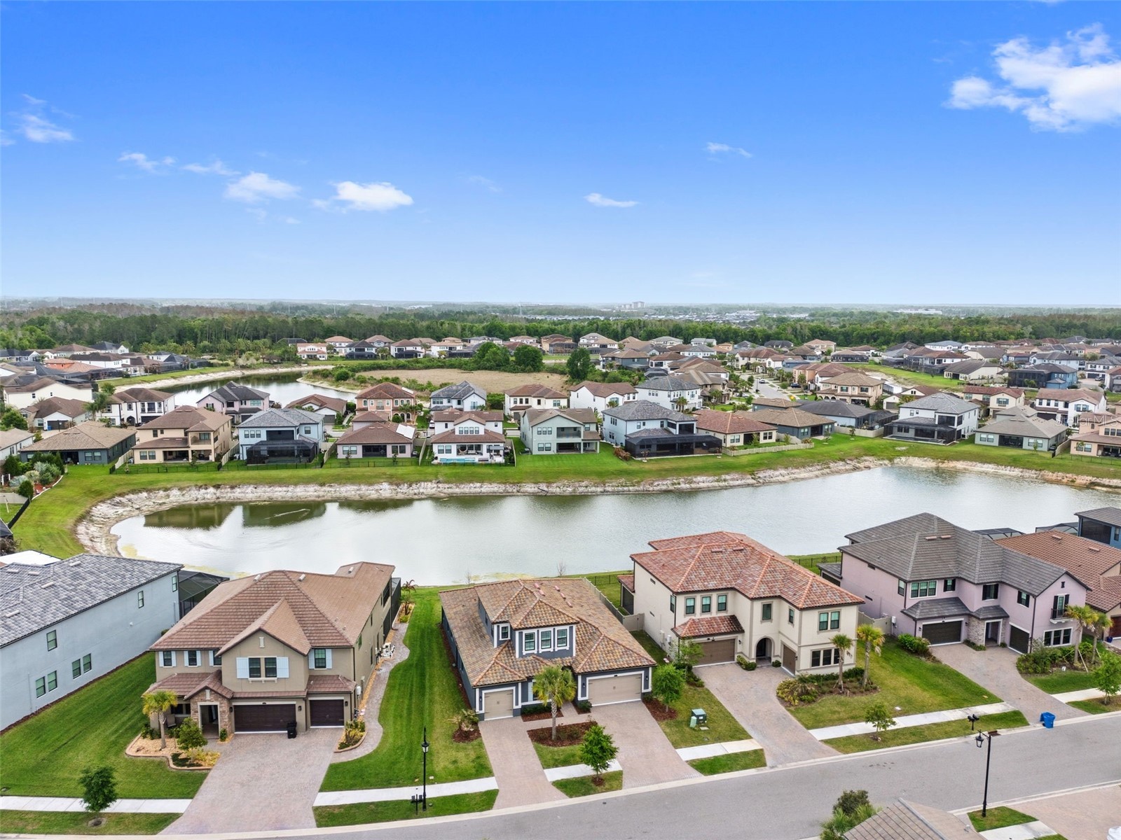 29657 Picana Lane Wesley Chapel FL 33543 TB8492559 image61