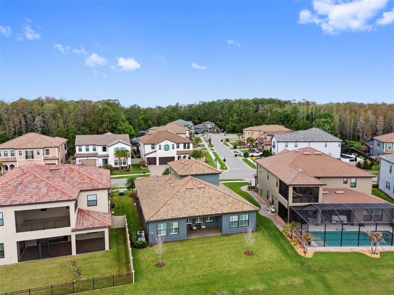 29657 Picana Lane Wesley Chapel FL 33543 TB8492559 image65