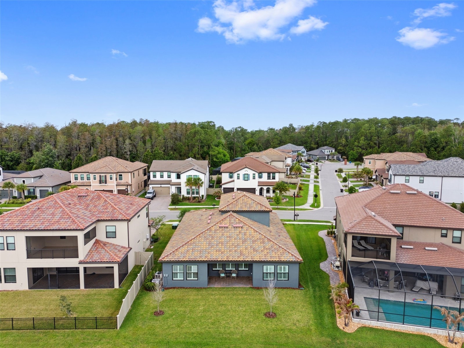 29657 Picana Lane Wesley Chapel FL 33543 TB8492559 image66
