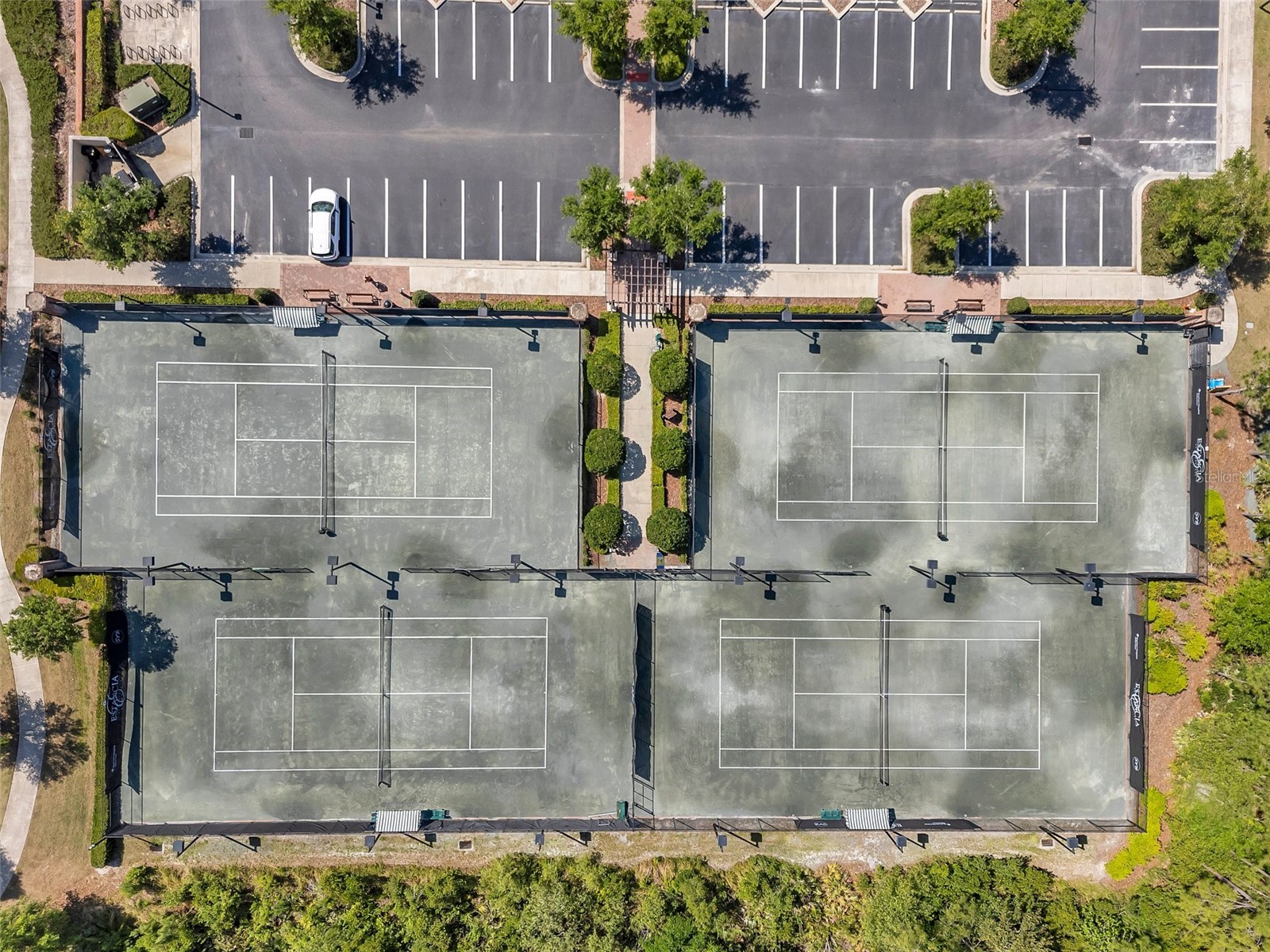 29657 Picana Lane Wesley Chapel FL 33543 TB8492559 image98