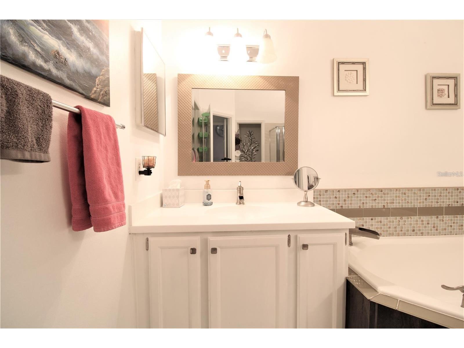 2966 Cottage Grove Court #1701 Orlando FL 32822 O6389702 image45