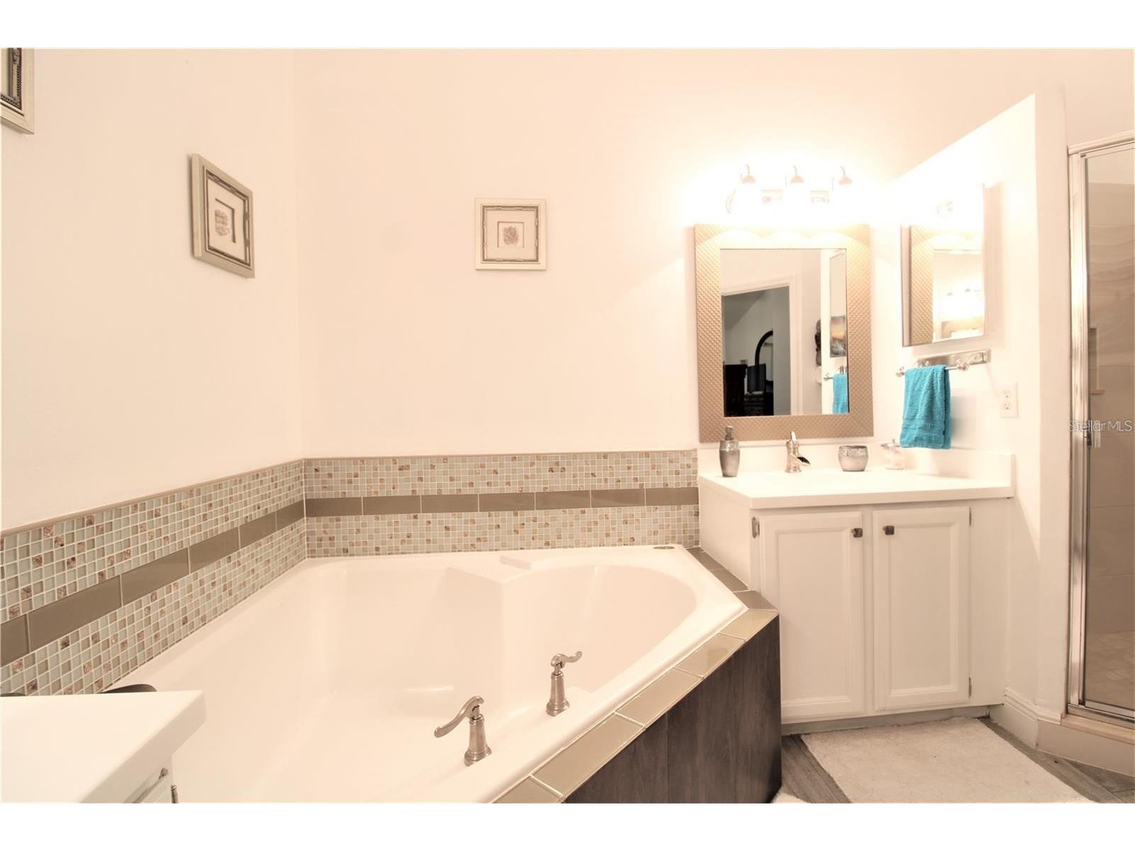 2966 Cottage Grove Court #1701 Orlando FL 32822 O6389702 image46