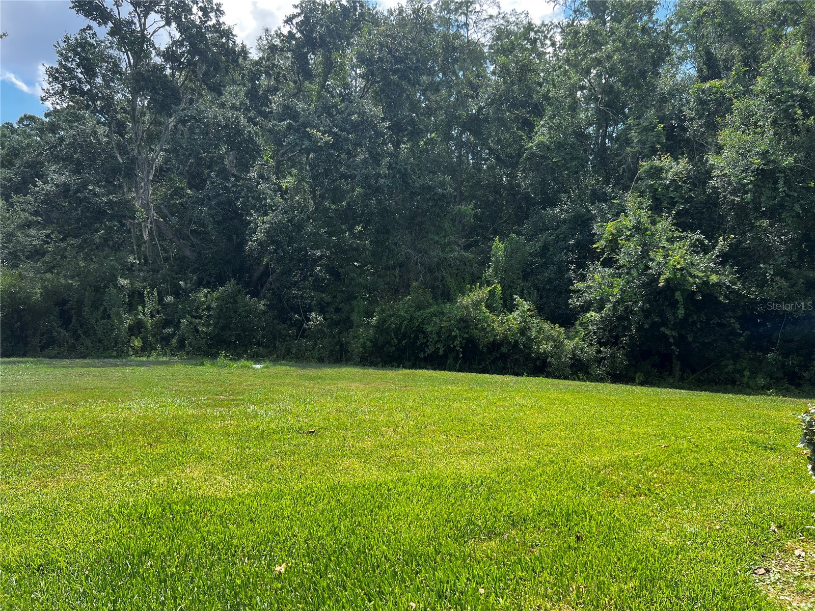 2966 Deer Pine Trail Land O Lakes FL 34638 TB8509420 image22