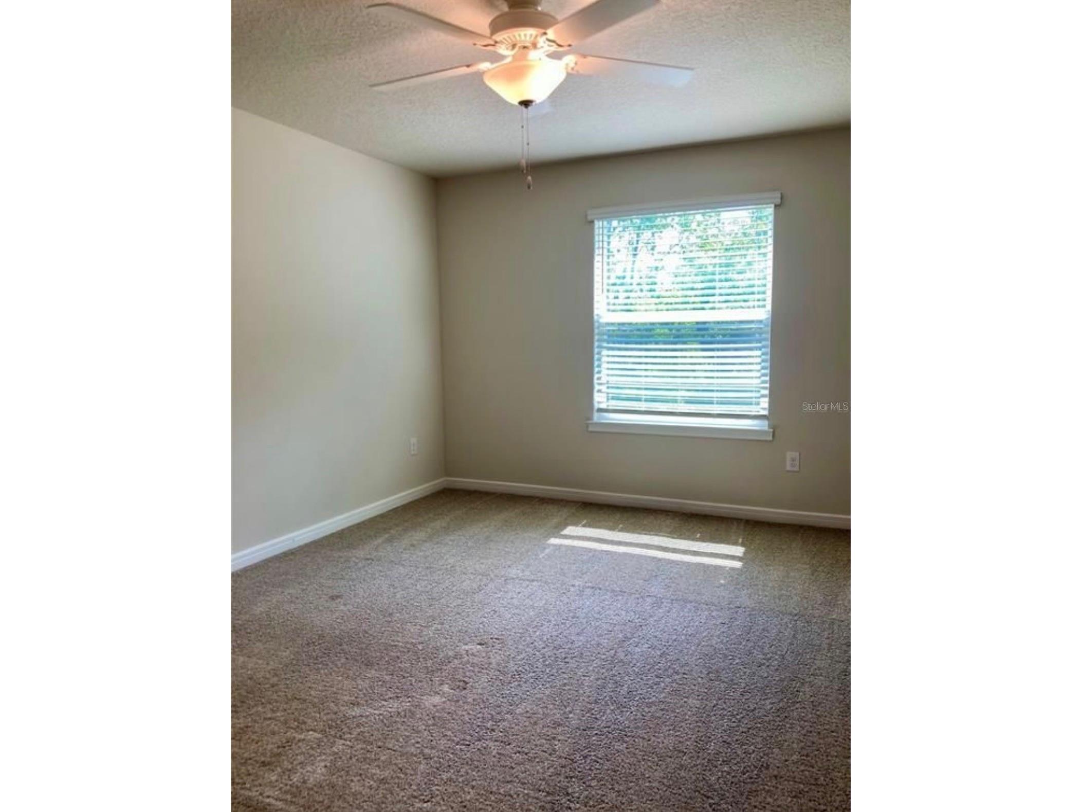 2966 Deer Pine Trail Land O Lakes FL 34638 TB8509420 image9