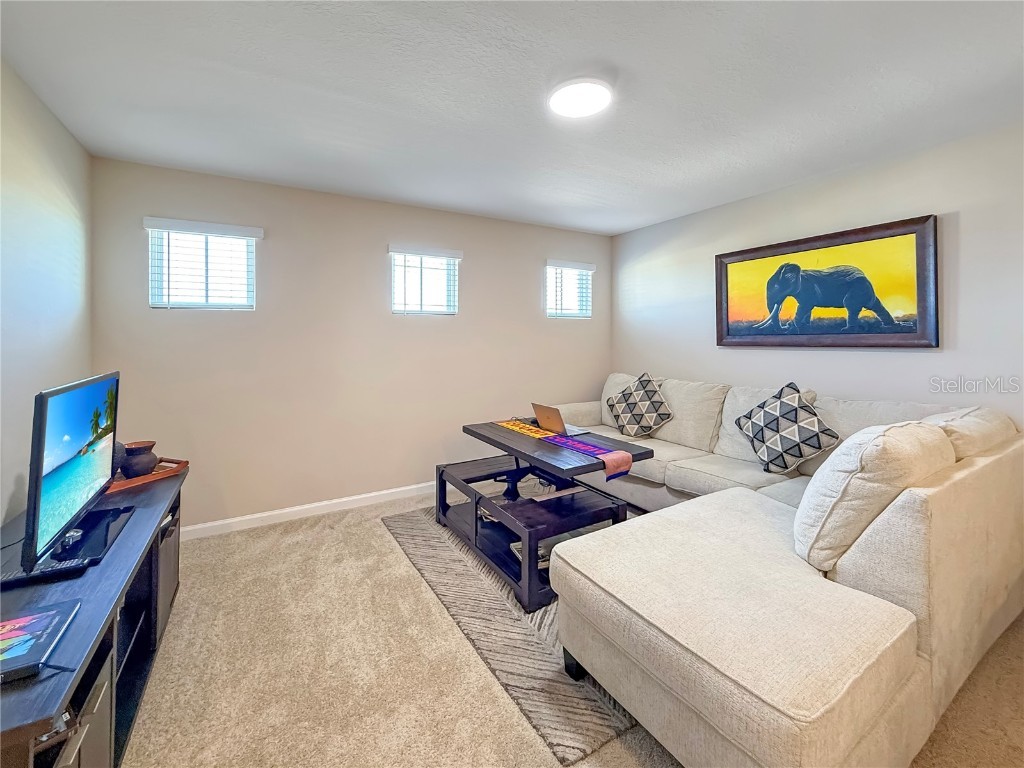 2966 Sharp Road Kissimmee FL 34744 S5140977 image27