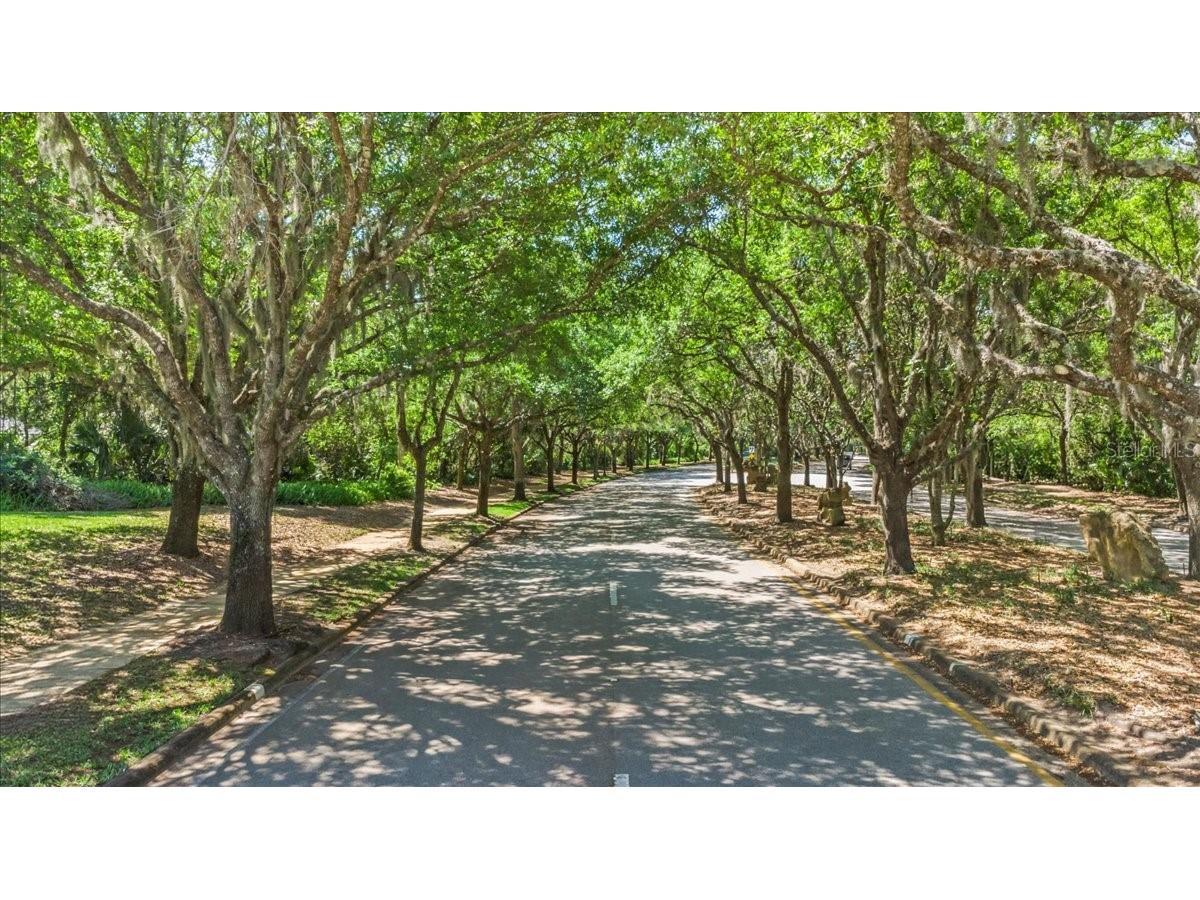 2967 Arranmore Drive Ormond Beach FL 32174 V4945744 image67