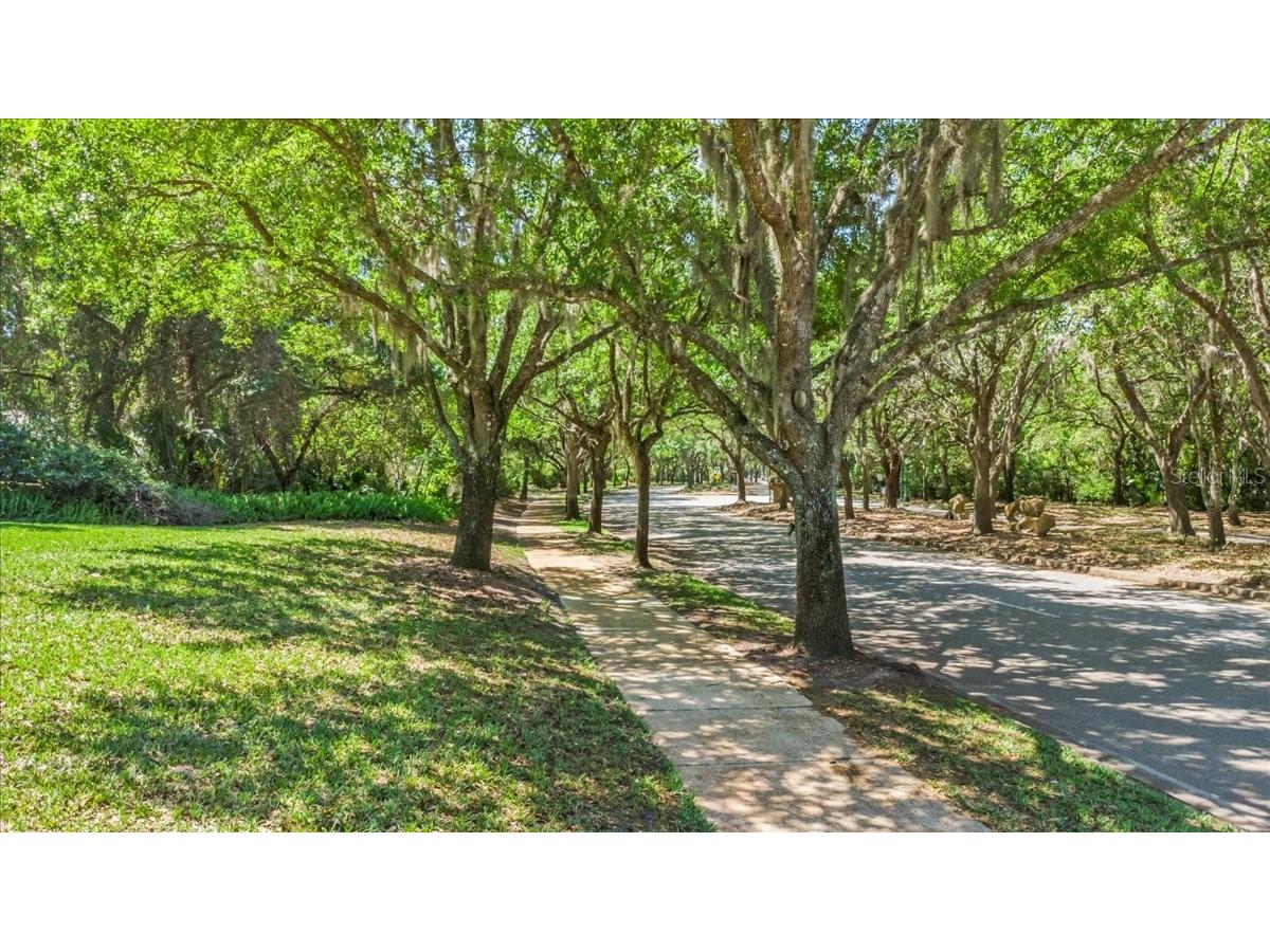 2967 Arranmore Drive Ormond Beach FL 32174 V4945744 image68