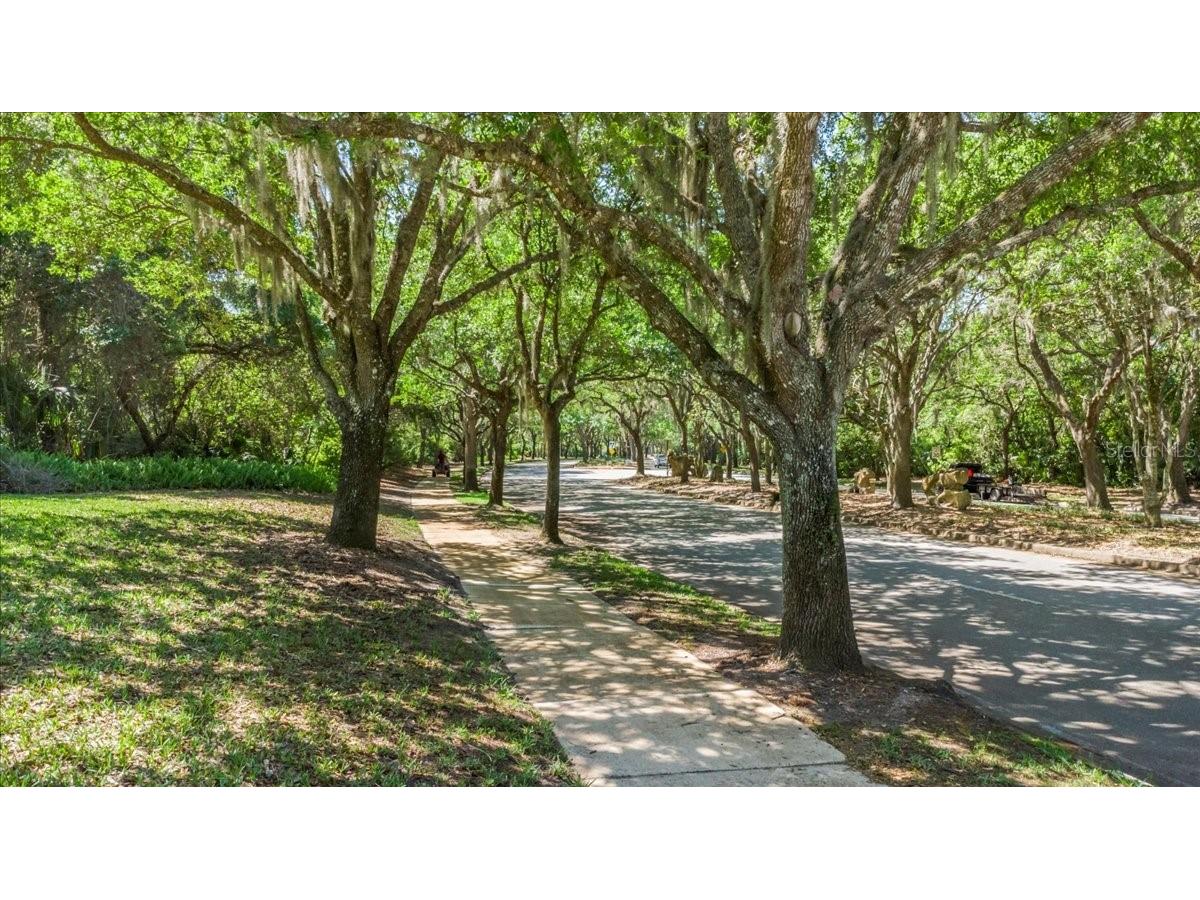 2967 Arranmore Drive Ormond Beach FL 32174 V4945744 image69