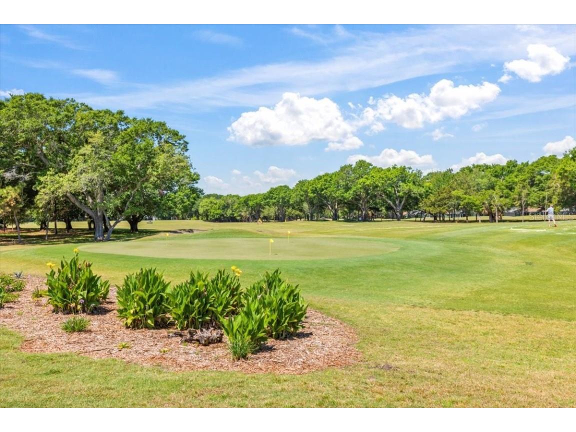 2967 Arranmore Drive Ormond Beach FL 32174 V4945744 image94