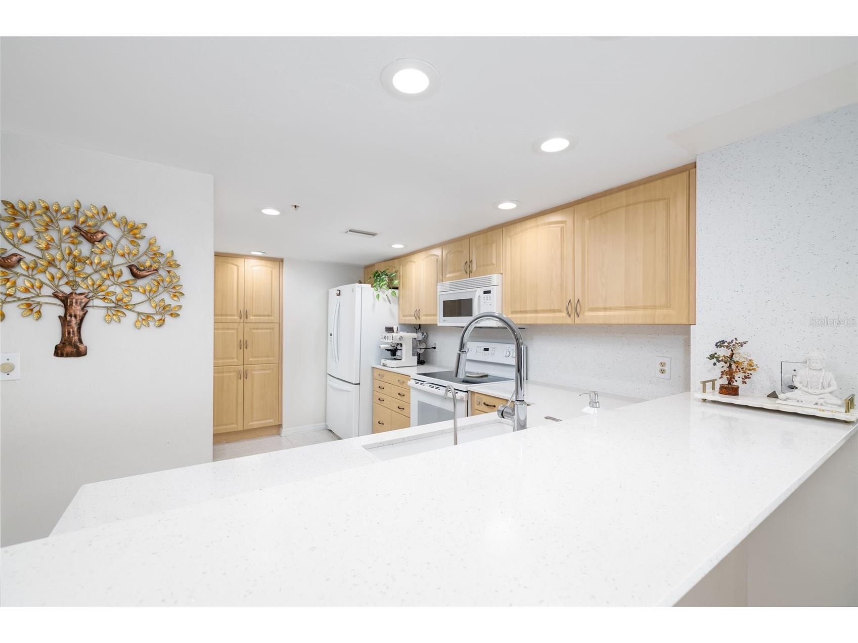 2967 S Atlantic Avenue #1204 Daytona Beach Shores FL 32118 V4949348 image12