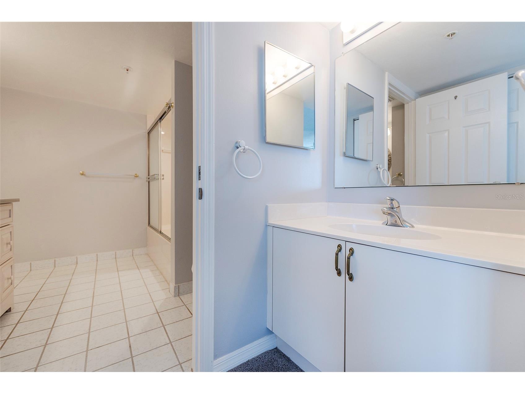 2967 S Atlantic Avenue #406 Daytona Beach Shores FL 32118 NS1087752 image27