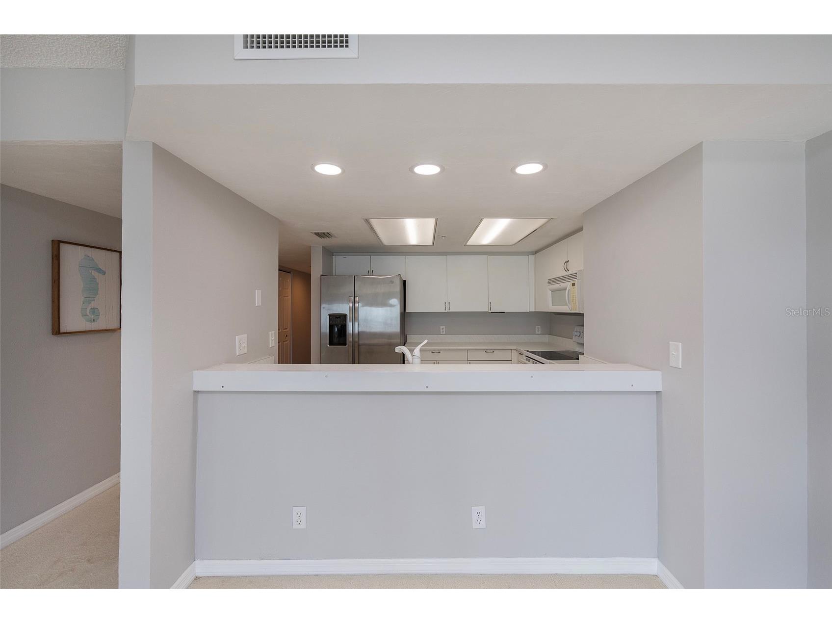 2967 S Atlantic Avenue #406 Daytona Beach Shores FL 32118 NS1087752 image32