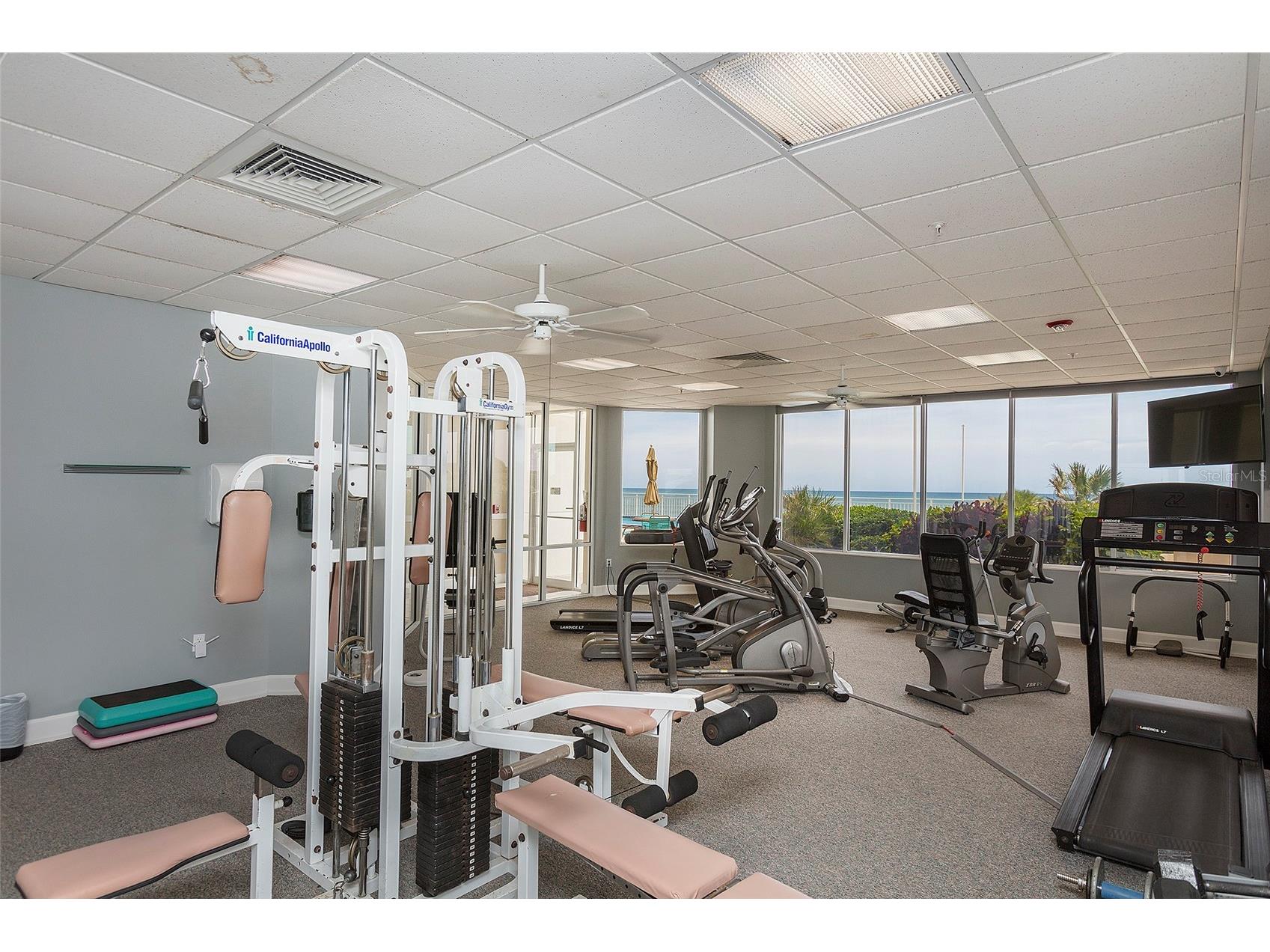 2967 S Atlantic Avenue #406 Daytona Beach Shores FL 32118 NS1087752 image44